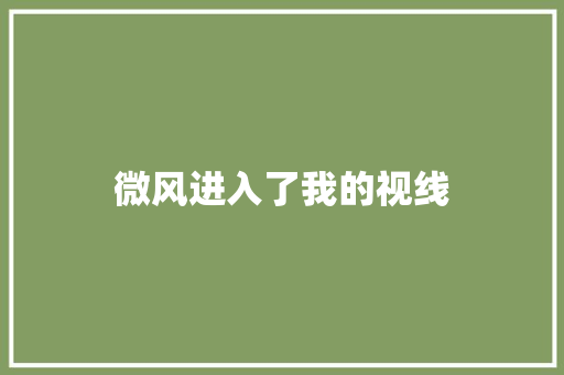 微风进入了我的视线