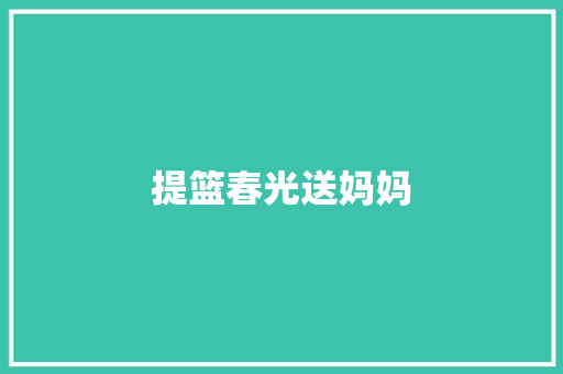 提篮春光送妈妈