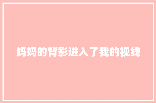 妈妈的背影进入了我的视线