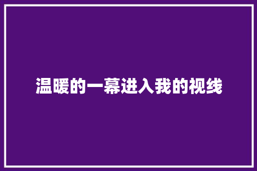 温暖的一幕进入我的视线