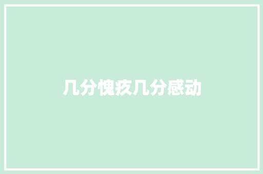 几分愧疚几分感动