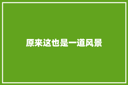 原来这也是一道风景