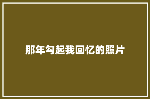 那年勾起我回忆的照片