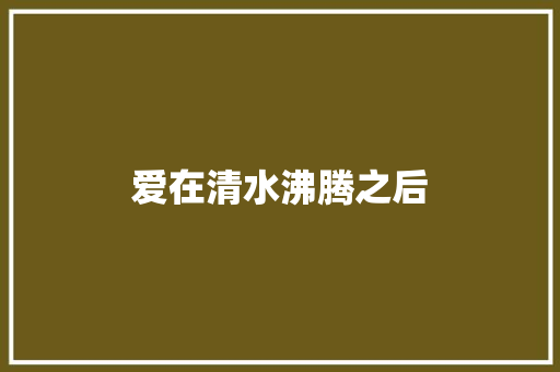 爱在清水沸腾之后
