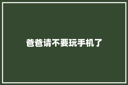 爸爸请不要玩手机了