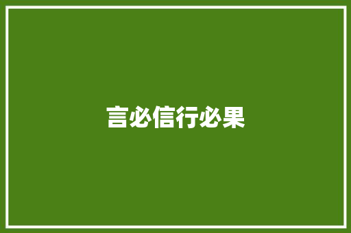 言必信行必果