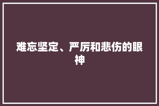 难忘坚定、严厉和悲伤的眼神