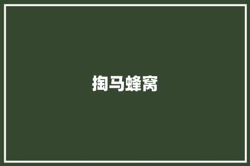 掏马蜂窝