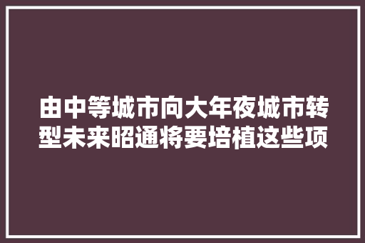 由中等城市向大年夜城市转型未来昭通将要培植这些项目