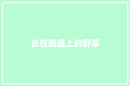 长在跑道上的野草