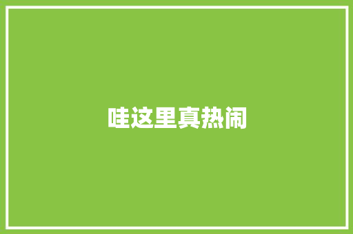 哇这里真热闹