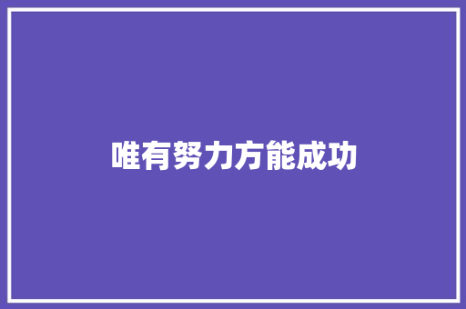唯有努力方能成功