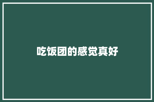 吃饭团的感觉真好