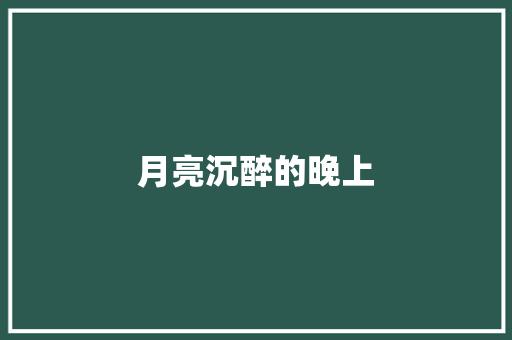 月亮沉醉的晚上