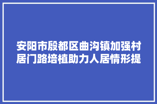 安阳市殷都区曲沟镇加强村居门路培植助力人居情形提升 汽车知识