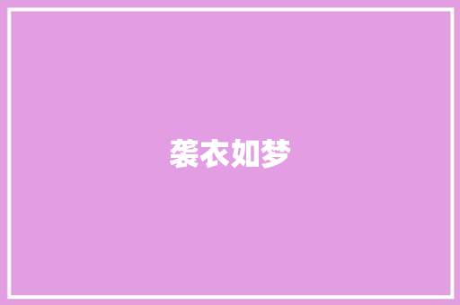 袭衣如梦