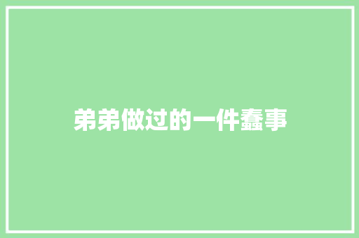 弟弟做过的一件蠢事