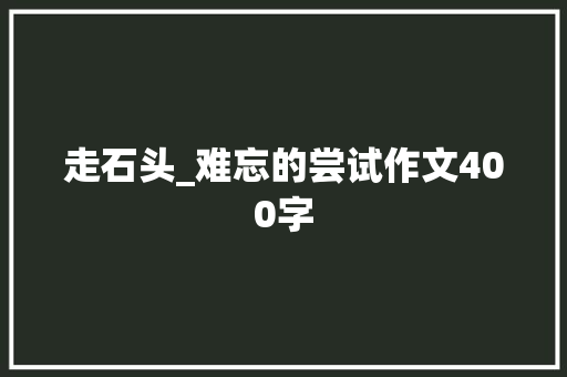 走石头_难忘的尝试作文400字