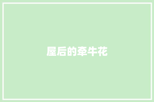 屋后的牵牛花