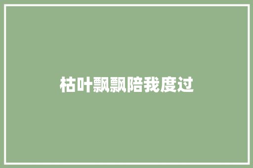 枯叶飘飘陪我度过