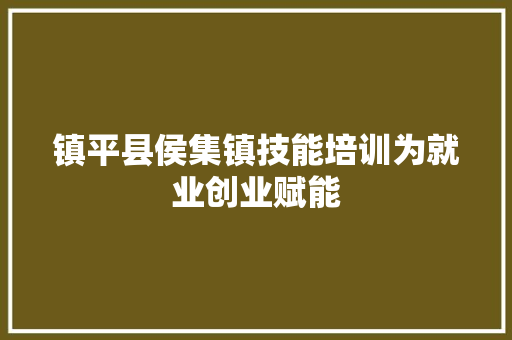镇平县侯集镇技能培训为就业创业赋能 汽车知识