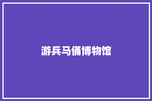 游兵马俑博物馆