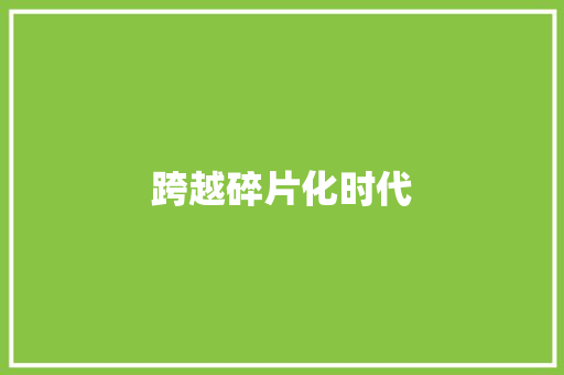 跨越碎片化时代