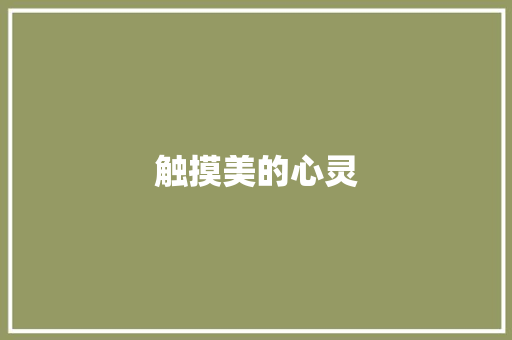 触摸美的心灵