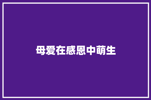 母爱在感恩中萌生