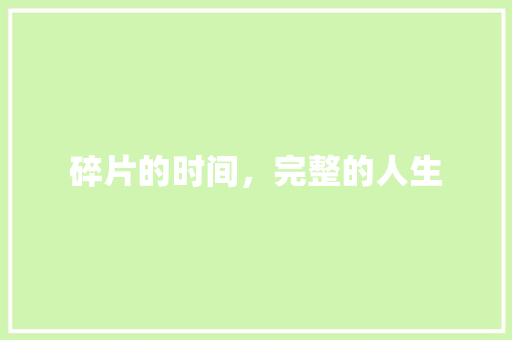 碎片的时间，完整的人生