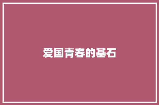 爱国青春的基石