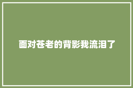 面对苍老的背影我流泪了