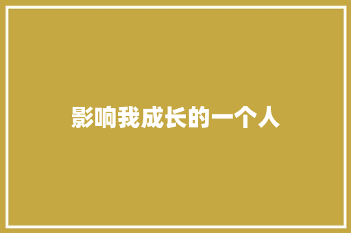影响我成长的一个人