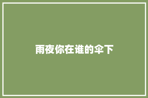 雨夜你在谁的伞下