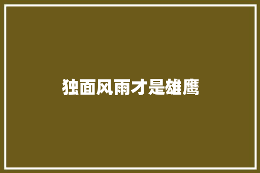 独面风雨才是雄鹰