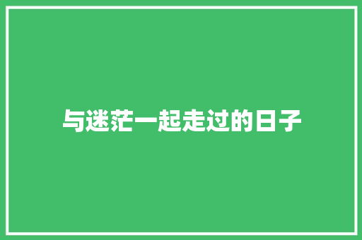 与迷茫一起走过的日子