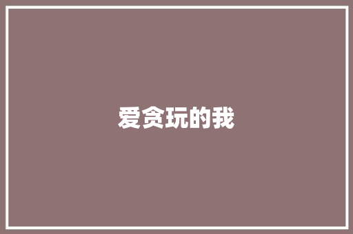 爱贪玩的我