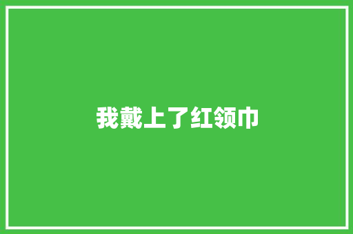 我戴上了红领巾