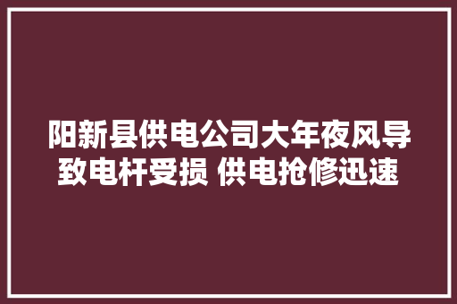 阳新县供电公司大年夜风导致电杆受损 供电抢修迅速恢复供电