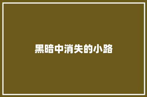 黑暗中消失的小路