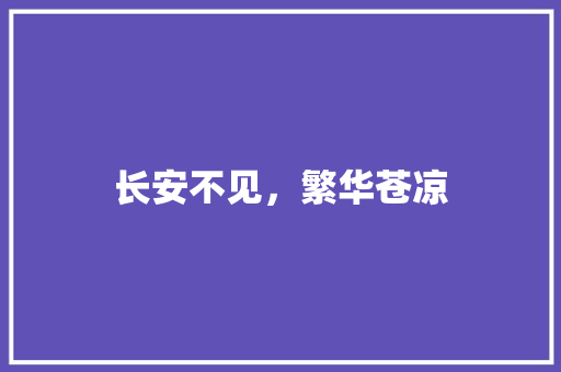 长安不见，繁华苍凉