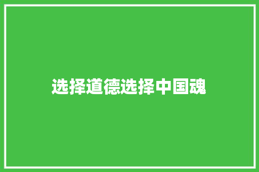 选择道德选择中国魂