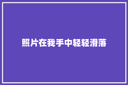 照片在我手中轻轻滑落 知识百科