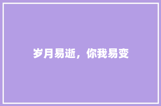 岁月易逝，你我易变