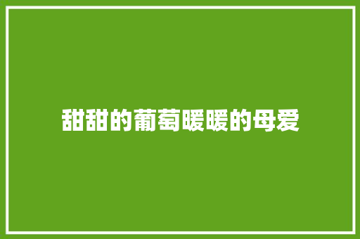 甜甜的葡萄暖暖的母爱