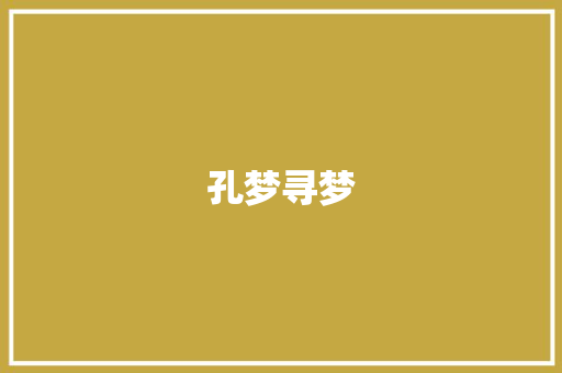 孔梦寻梦