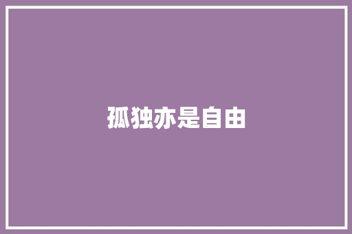 孤独亦是自由