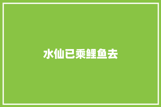 水仙已乘鲤鱼去