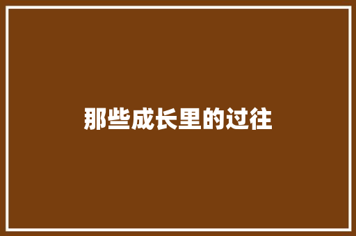 那些成长里的过往