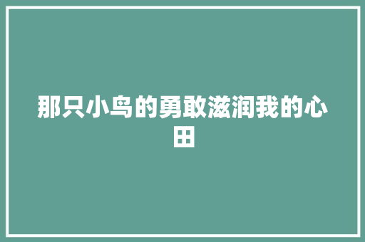 那只小鸟的勇敢滋润我的心田